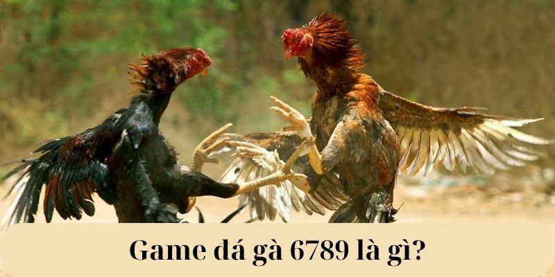 Game đá gà 6789 là gì?