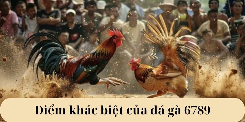 Điểm khác biệt của đá gà 6789