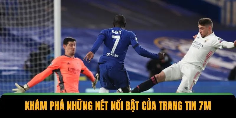 Các lĩnh vực nội dung nổi bật